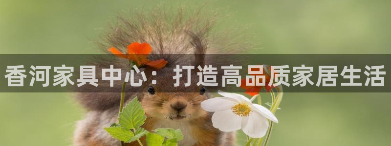 安信12娱乐登录