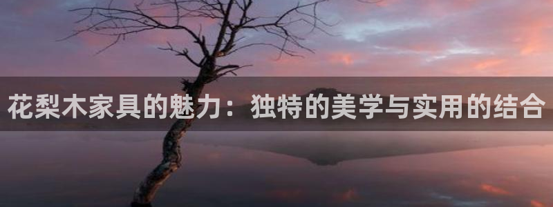 安信12彩票在线网址