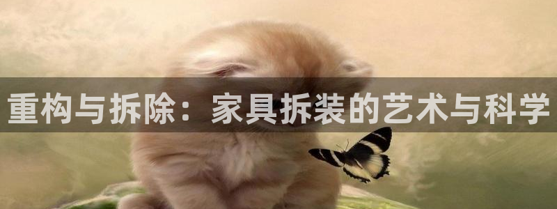 安信12登录地址