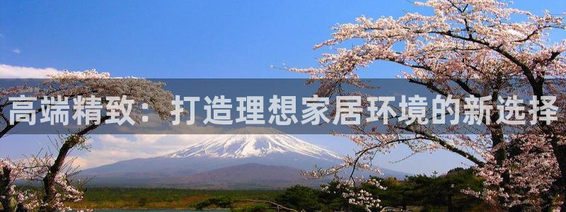安信锐赢134号12月