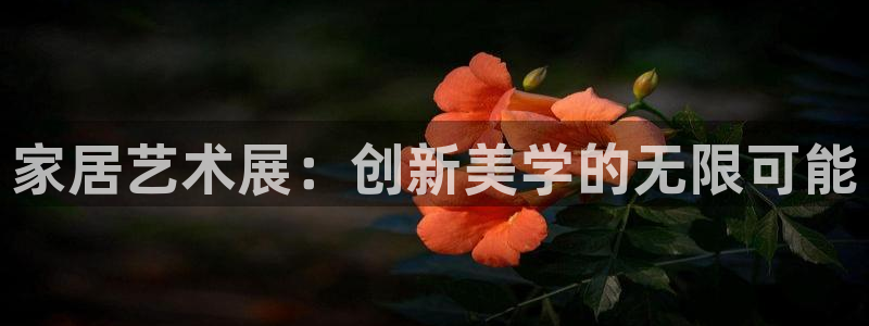 安信12娱乐7o777还