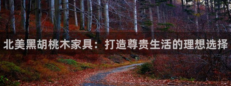 安信12官方网站查询