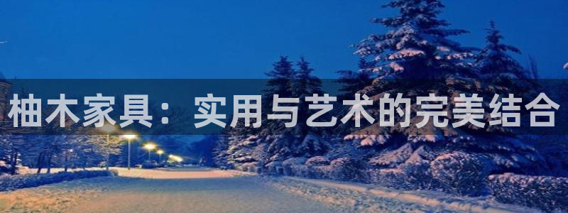 安信安翼 12账号