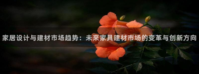 安信12级粉丝团福利