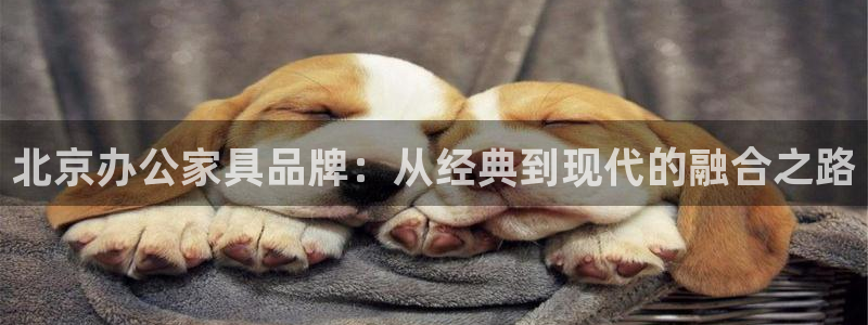 安信12平台可靠吗