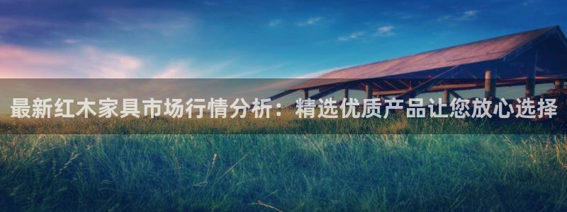 安信安翼 12账号