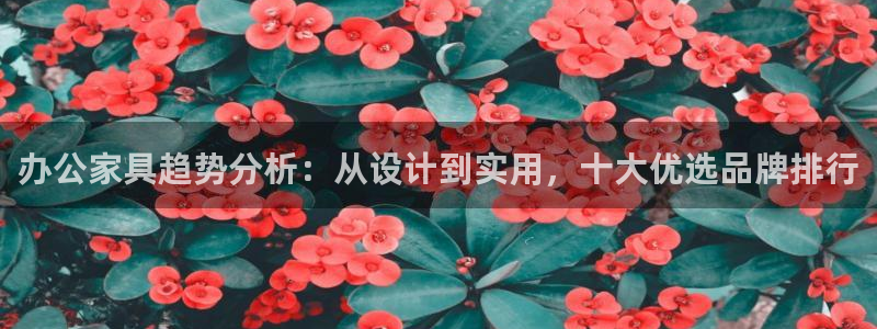 安信12娱乐登录