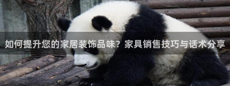 安信12娱乐登录