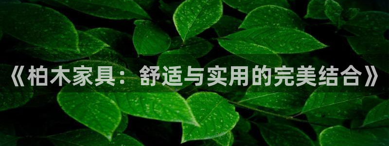 安信锐赢134号12月