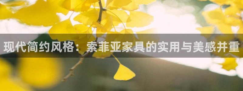 安信12是正规平台吗