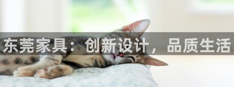 安信12注册登录下戴