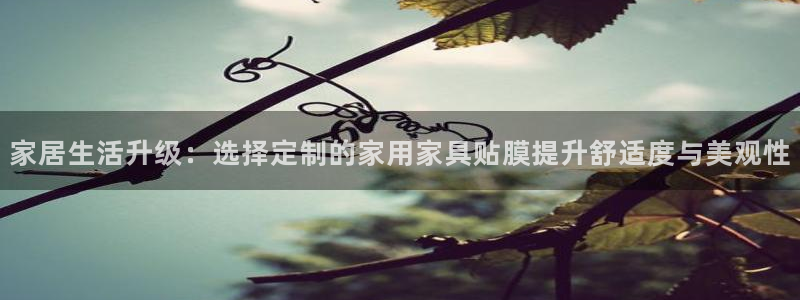 安信可esp-12