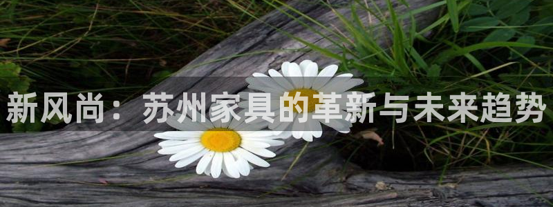 安信12是什么