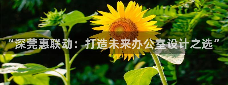信安杯12