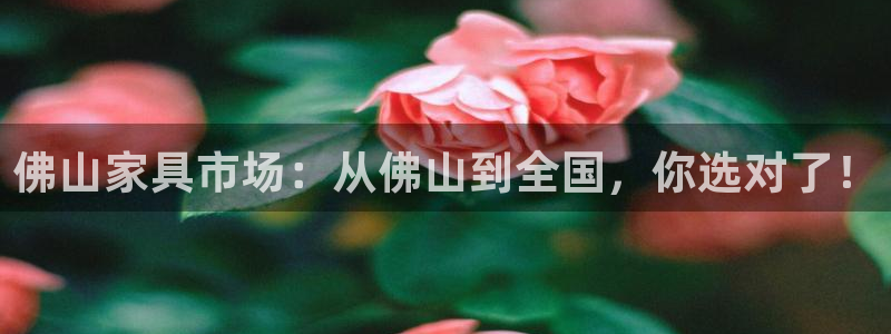安信安翼 12账号