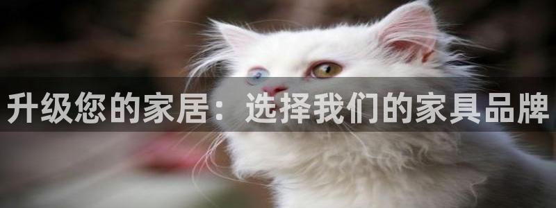 安信12彩票app下载