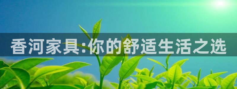 安信证券 12位