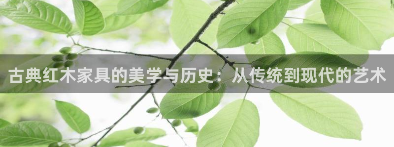 安信12是什么