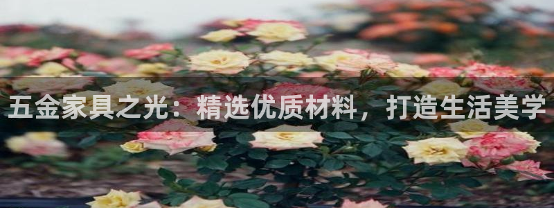 安信12平台官网