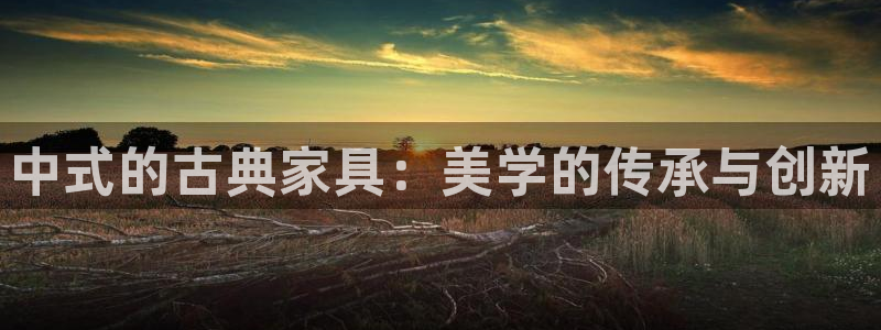 安信12包赔