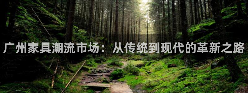 安信12是什么