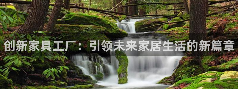 安信12周年