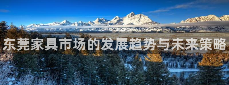 安信12登录地址