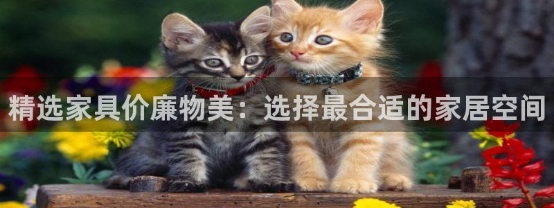 安信12娱乐